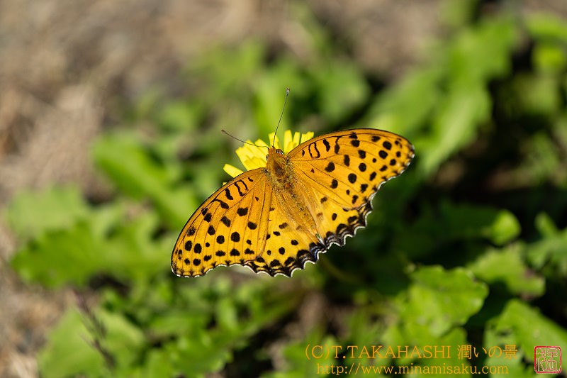 ../Images/7R241013 (161).jpg